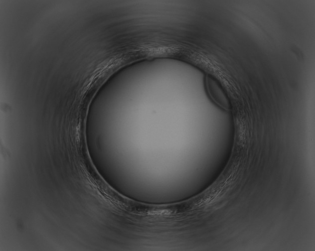 X0000090480357200708031129