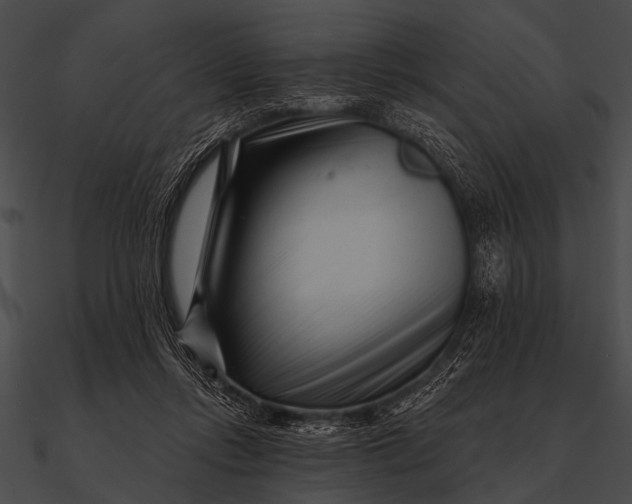 X0000090480358200708031129