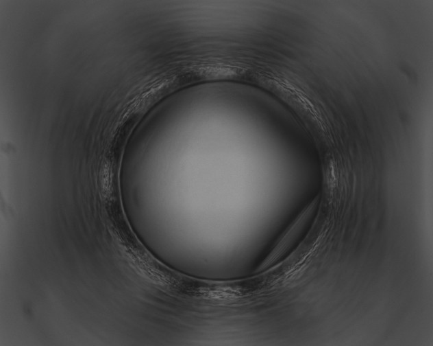 X0000090480359200708031129