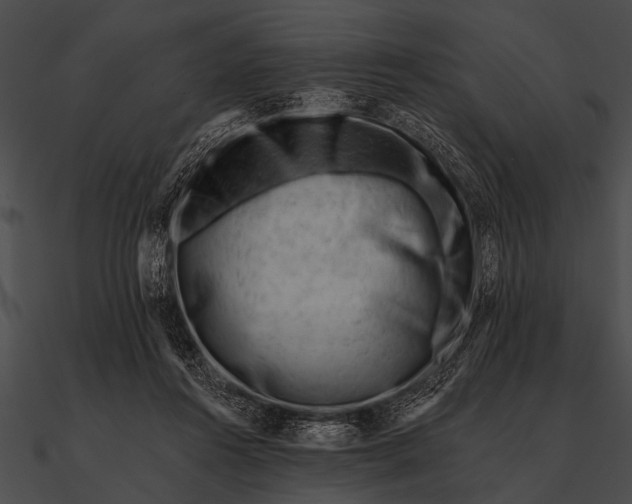 X0000090480360200708031129