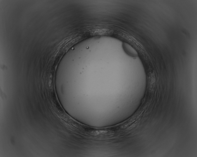 X0000090480361200708031129