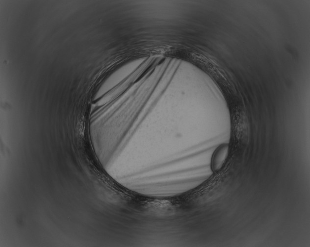 X0000090480374200708031130