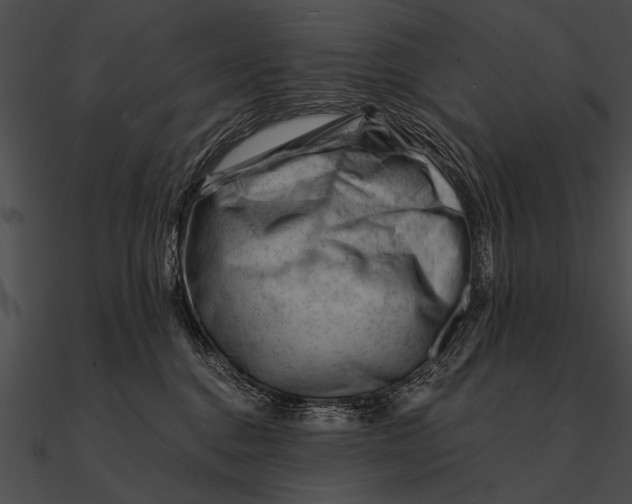 X0000090480376200708031130