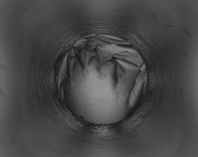 X0000090480377200708031130
