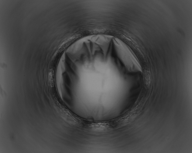 X0000090480378200708031130
