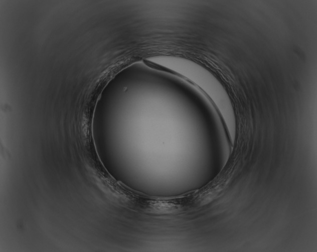 X0000090480380200708031130