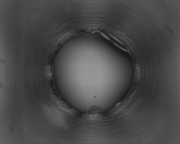 X0000090480383200708031130