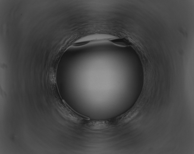 X0000090480384200708031130