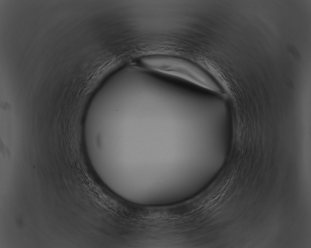 X0000090480385200708031129