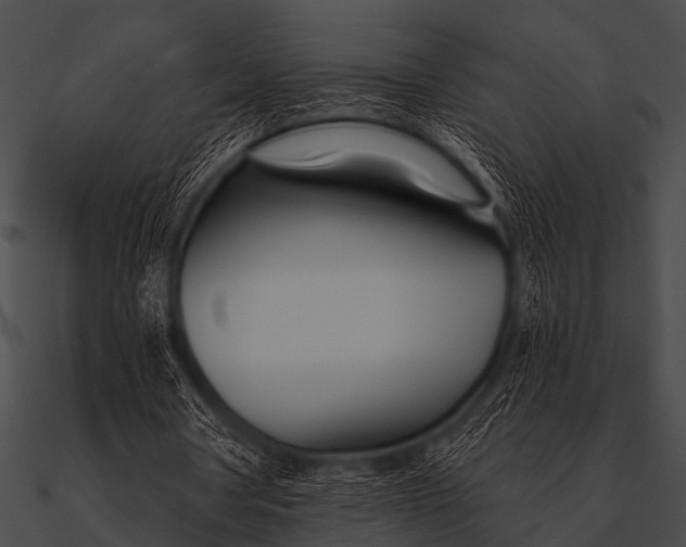 X0000090480386200708031129