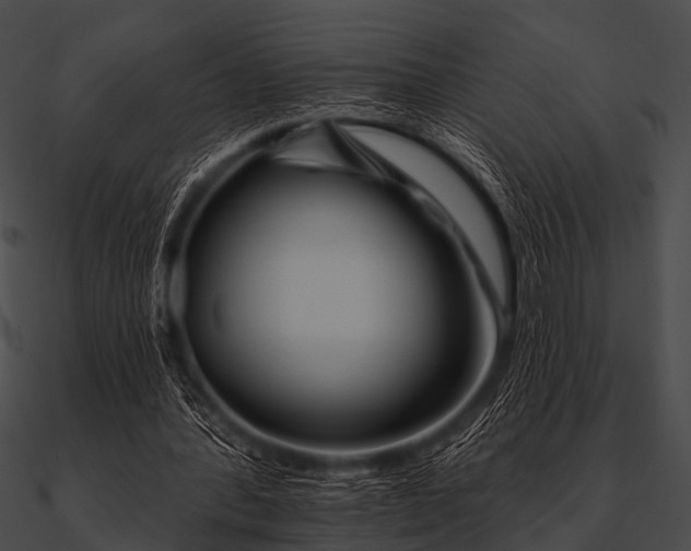 X0000090480388200708031129