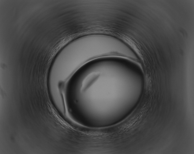 X0000090480389200708031129