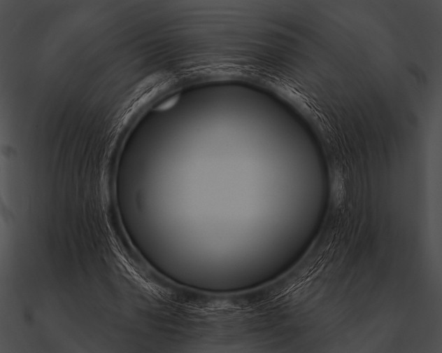 X0000090480390200708031129