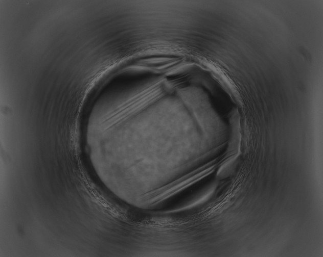 X0000090480391200708031129