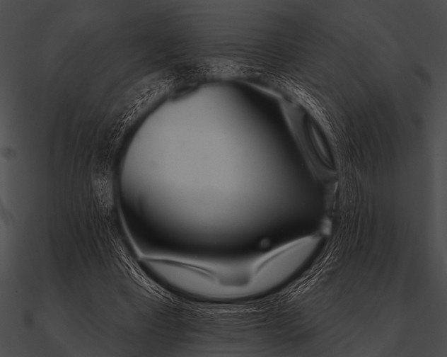 X0000090480393200708031129