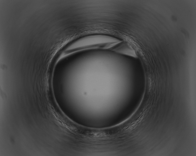 X0000090480395200708031129