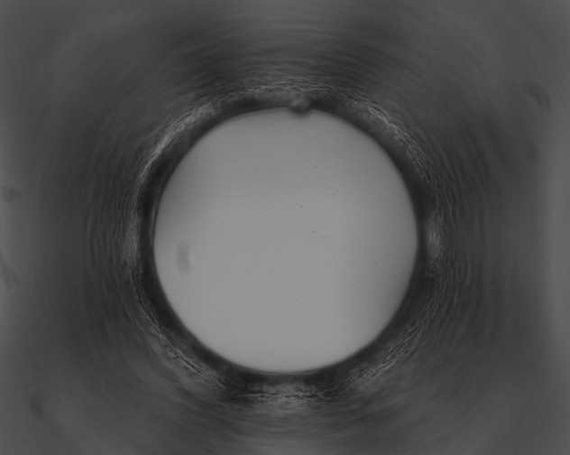 X0000090480396200708031129