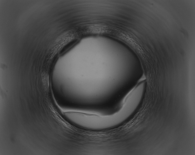 X0000090480397200708031129