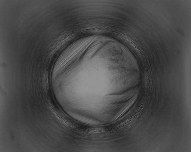 X0000090480398200708031129