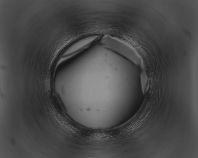 X0000090480399200708031129