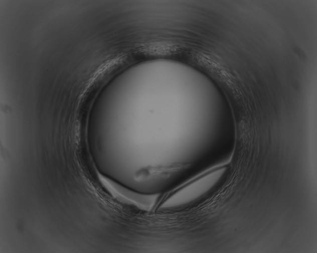 X0000090480400200708031129