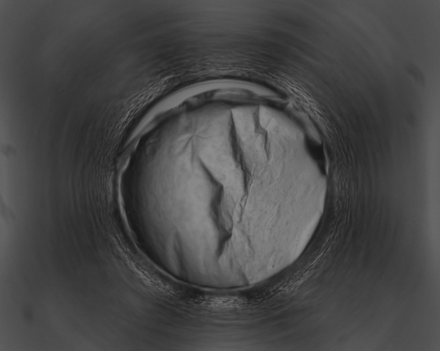 X0000090480401200708031129
