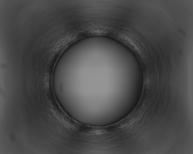 X0000090480402200708031129