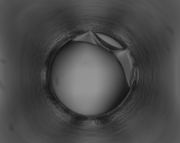 X0000090480404200708031129