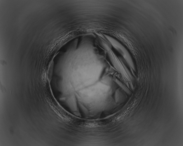 X0000090480405200708031129