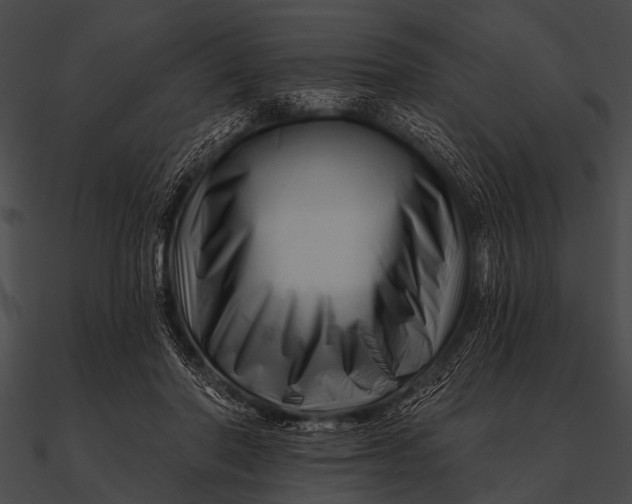 X0000090480406200708031129