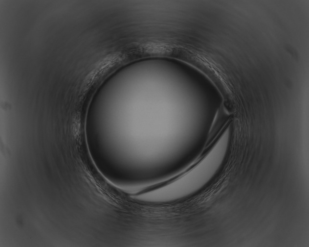 X0000090480407200708031129