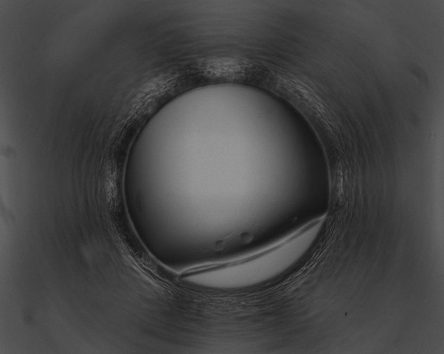 X0000090480408200708031129