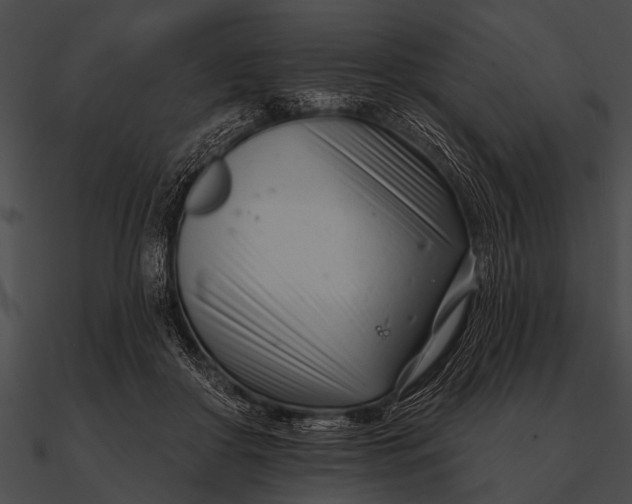 X0000090480410200708031129