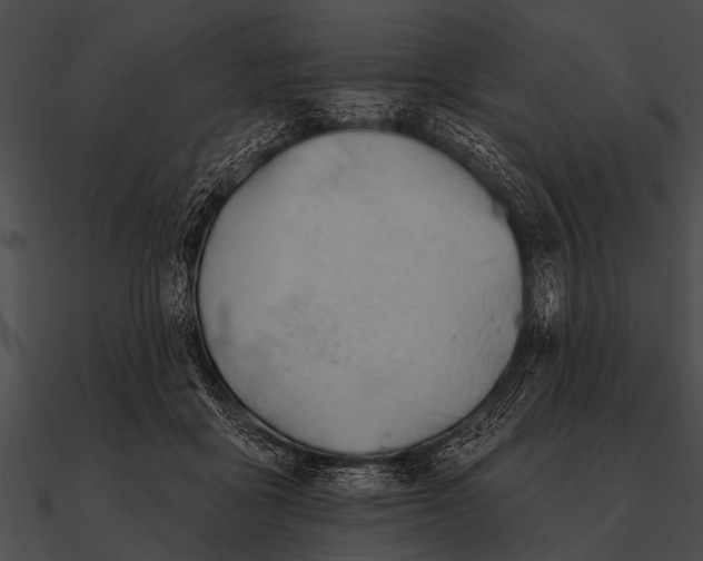 X0000090480411200708031129