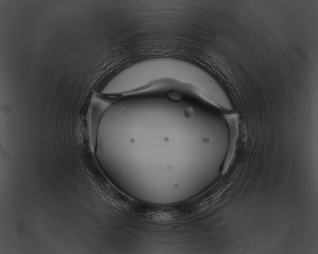 X0000090480412200708031129