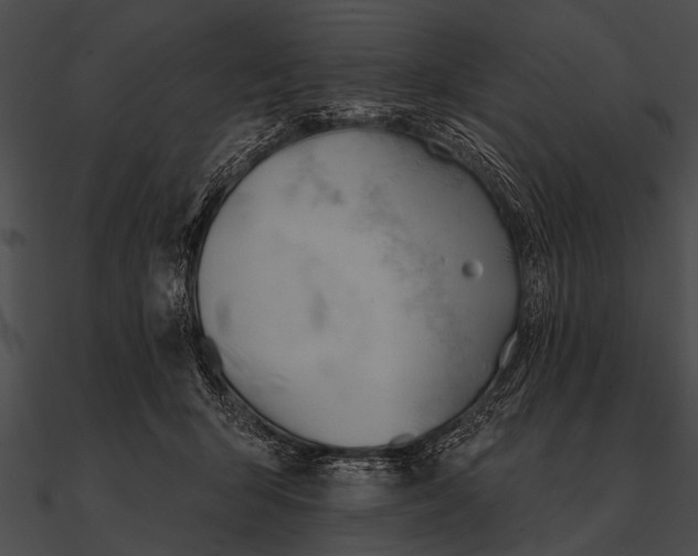 X0000090480415200708031129