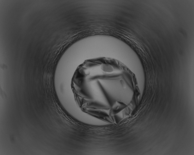 X0000090480417200708031129