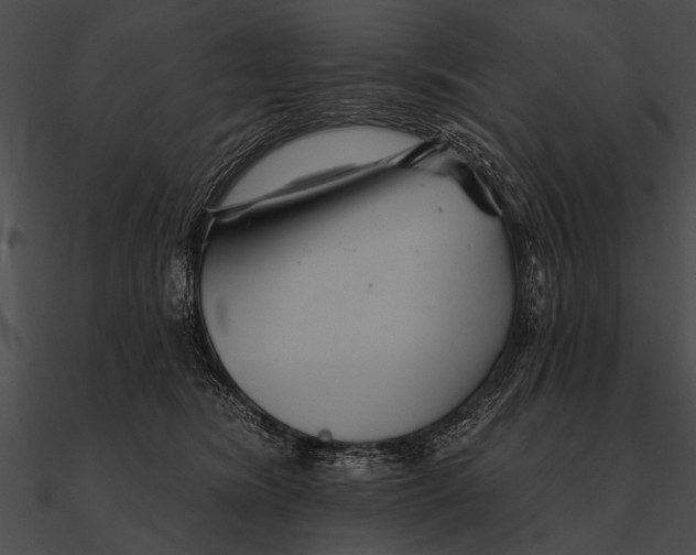 X0000090480420200708031129