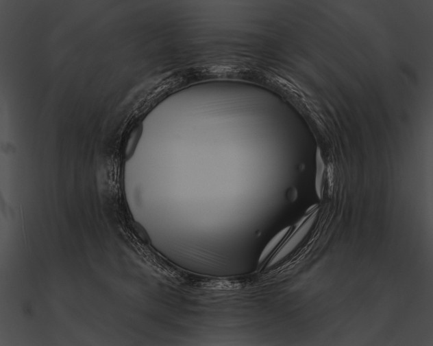 X0000090480421200708031129