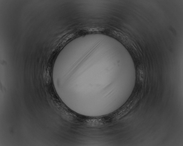 X0000090480422200708031129