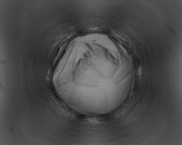 X0000090480423200708031129