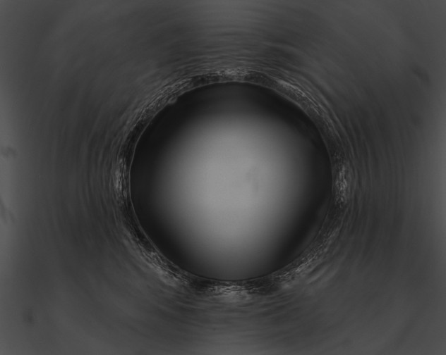 X0000090480424200708031129