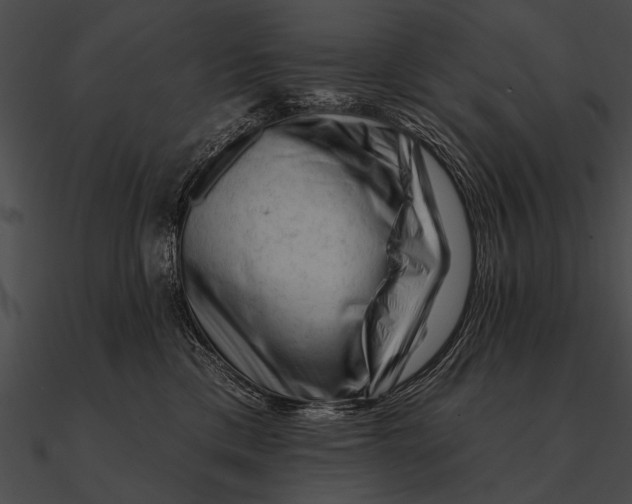 X0000090480425200708031129