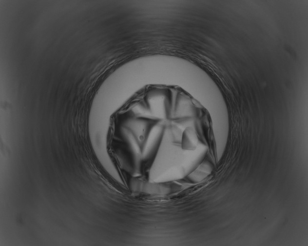 X0000090480428200708031129