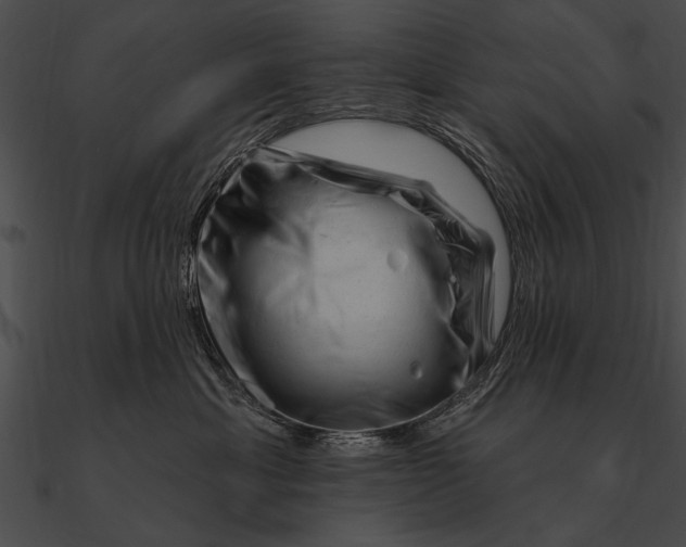 X0000090480429200708031129