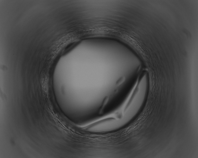 X0000090480434200708031128