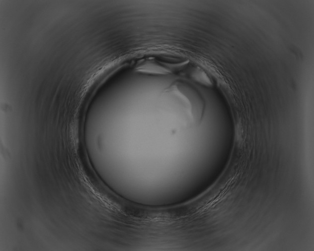 X0000090480438200708031128