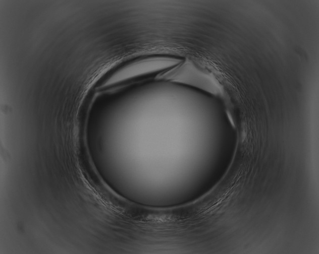 X0000090480440200708031128