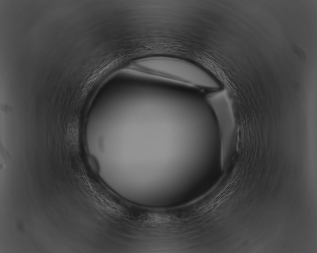 X0000090480442200708031128