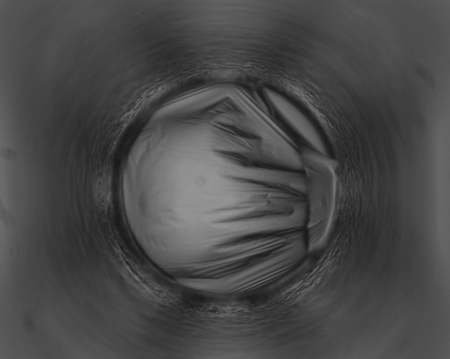 X0000090480443200708031128